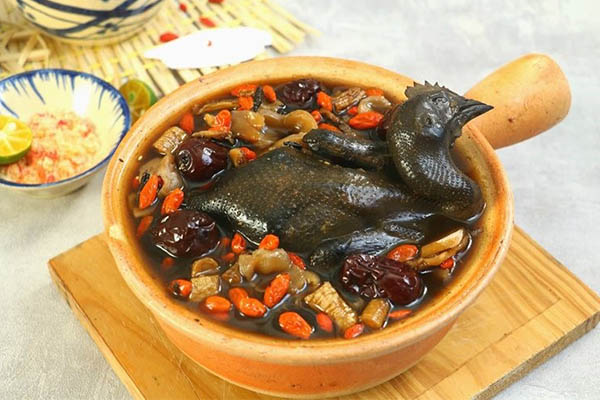 GÀ ÁC TIỀM THUỐC BẮC (Con)